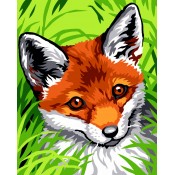 Kit caneva 20x25